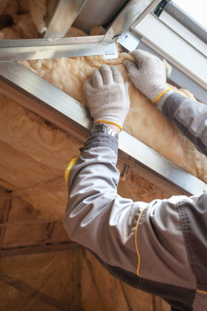 Best Geographic-Specific Insulation Services in USA